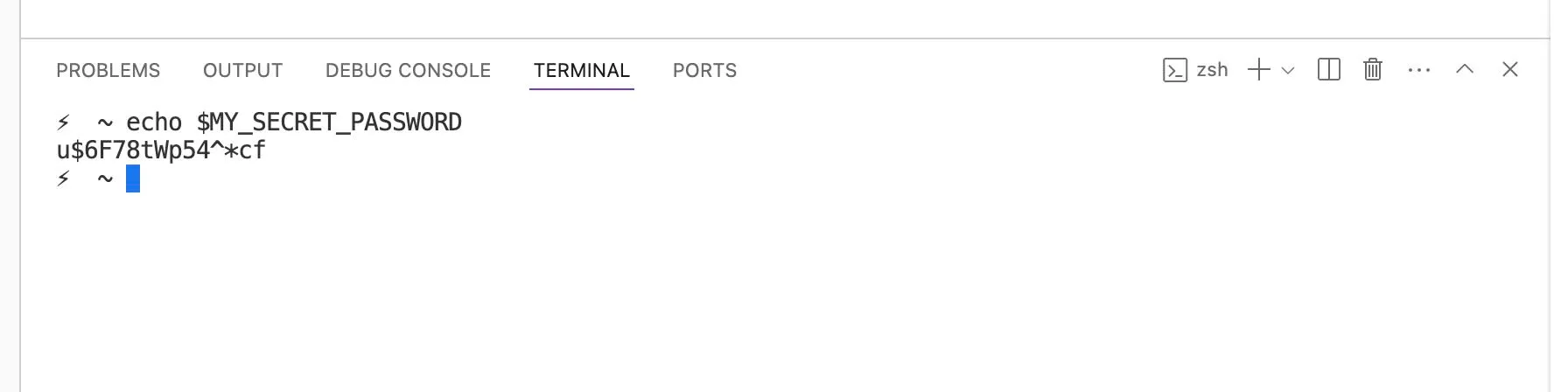 Environment variables are specified by the Dollar-sign ($) followed by the variable's name. To use the MY_SECRET_PASSWORD variable, you would specify it with $MY_SECRET_PASSWORD